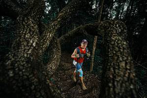 BIB: 
                            <button type="button" onclick="openModal(25702829)" class="btn btn-primary btn-sm float-right btn-popup" data-toggle="modal" data-target=".modal-high-quality">
                        <i class="fas fa-shopping-cart"></i> Add to Cart
                    </button>
                                            <button type="button" onclick="isThisMe(25702829, true)" class="btn btn-success btn-sm float-right btn-popup btn-isme hidden" data-toggle="tooltip" data-placement="bottom" title="นี่คือรูปของคุณใช่ไหม คลิกที่นี่เพื่อเอาเข้าอัลบั้ม">
                        <i class="fas fa-plus"></i> Add to album
                    </button>
                    <button type="button" onclick="isThisMe(25702829, false)" class="btn btn-warning btn-sm float-right btn-popup btn-isnotme hidden">
                        <i class="fas fa-ban"></i> Remove from album
                    </button>